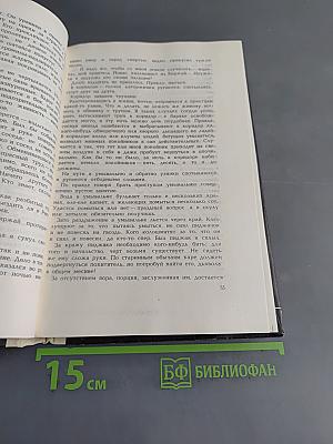 Лес богов