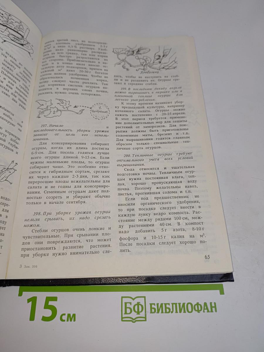 Огород-круглый год