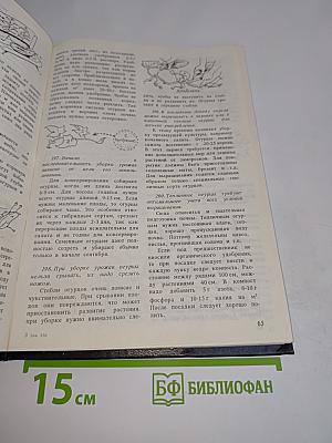 Огород-круглый год