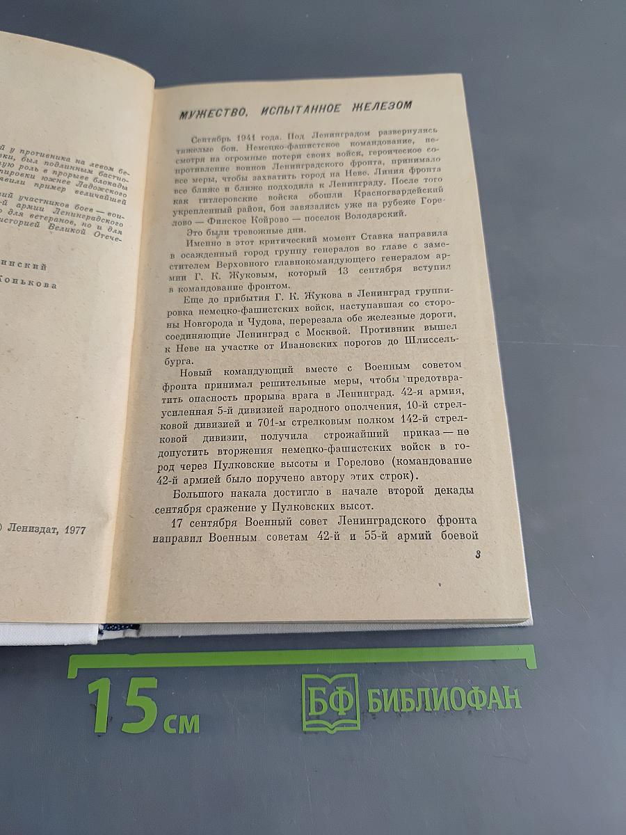 Невский пятачок
