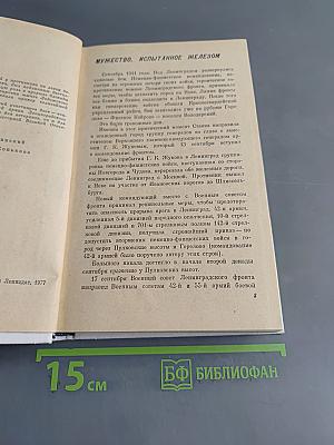 Невский пятачок