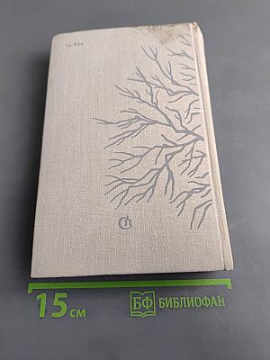Улица Грановского, 2