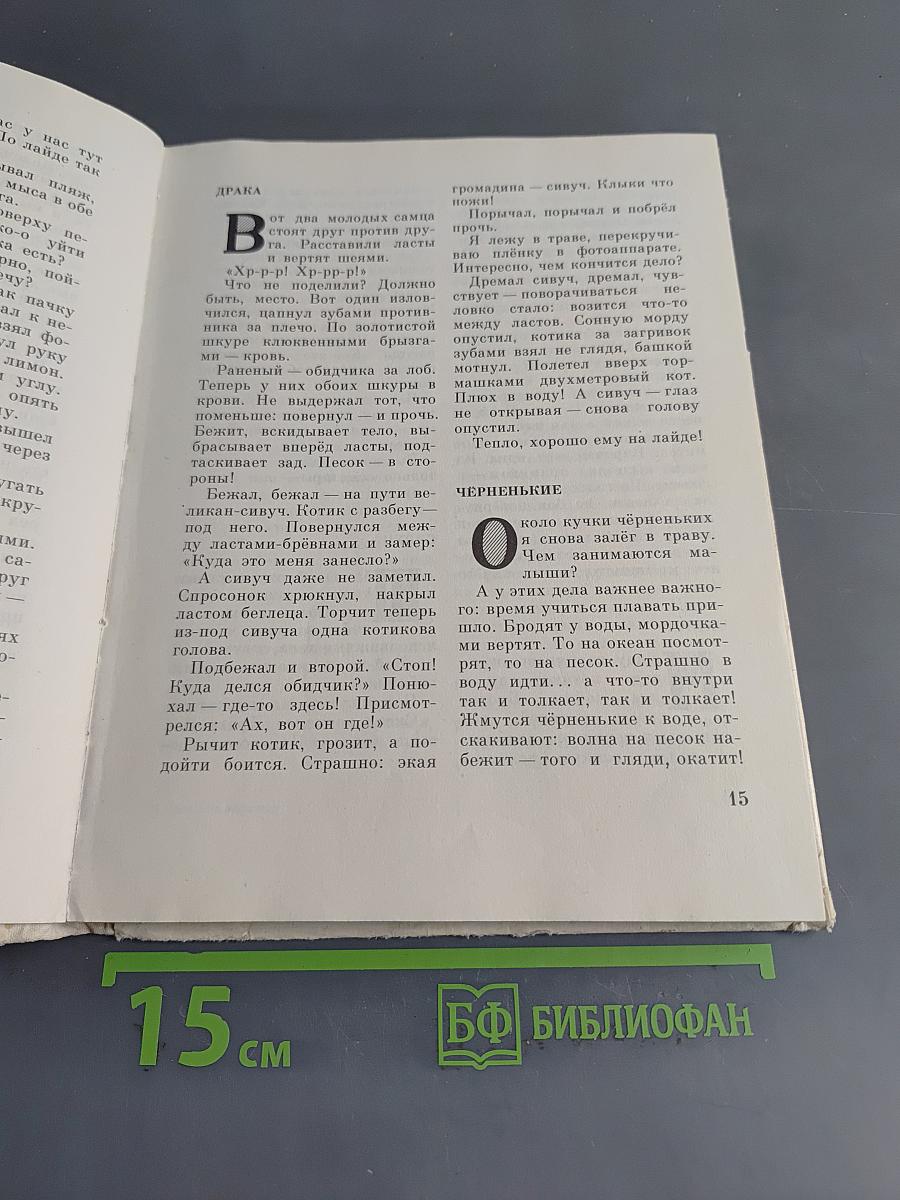 Слоны на асфальте. Рассказы о животных