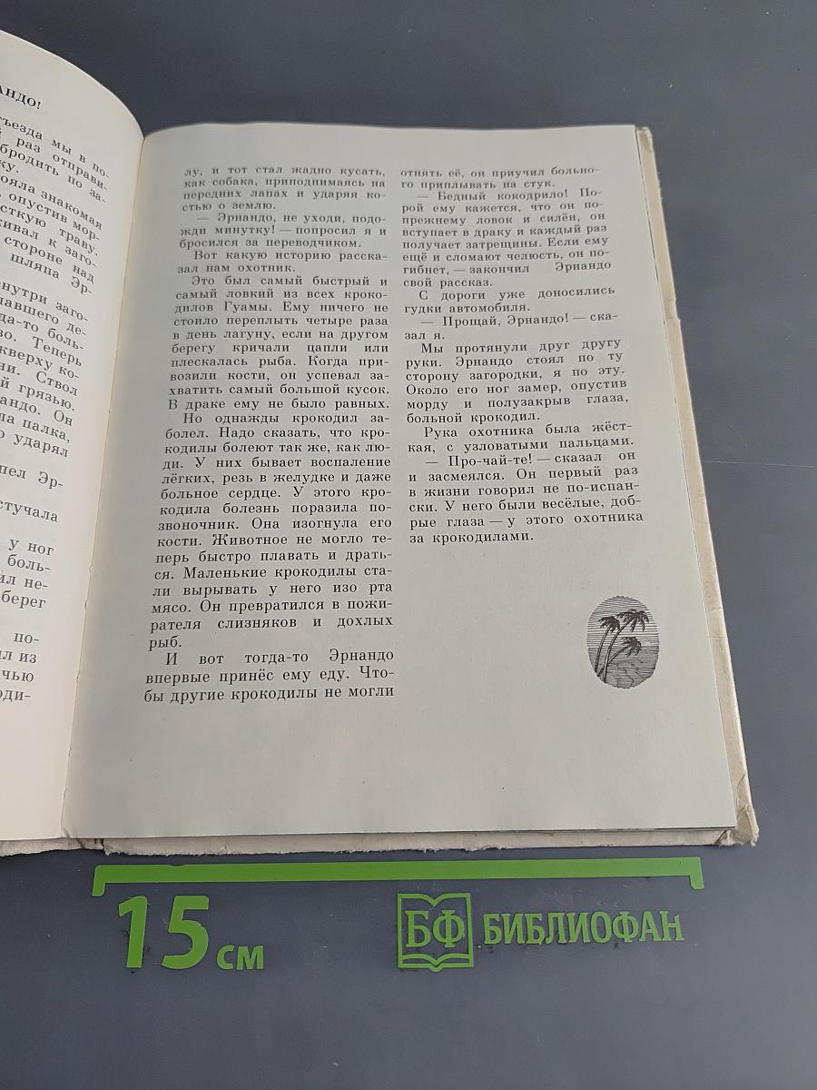 Слоны на асфальте. Рассказы о животных