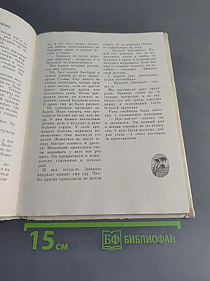 Слоны на асфальте. Рассказы о животных