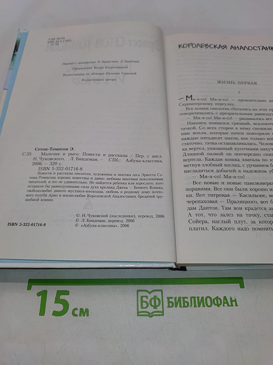 Мальчик и рысь
