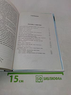 Мальчик и рысь
