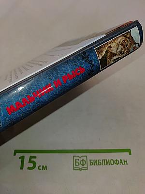 Мальчик и рысь