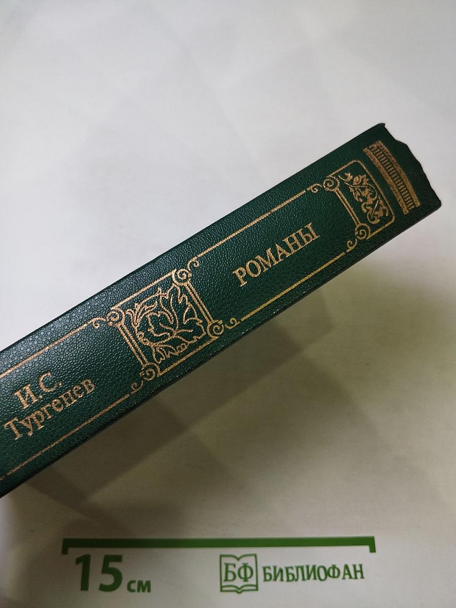 И.С. Тургенев. Романы: Рудин, Дворянское гнездо, Накануне, Отцы и дети