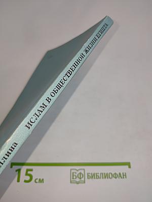 Ислам в общественной жизни Египта (вторая половина XIX - начало XX в.)
