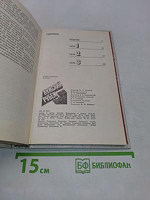 Лужский рубеж. Год 1941-й
