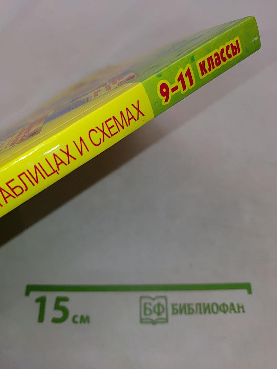 Русская литература в таблицах и схемах. 9-11 классы