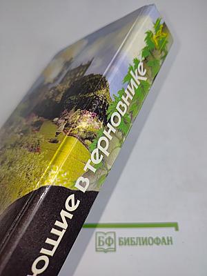 Поющие в терновнике