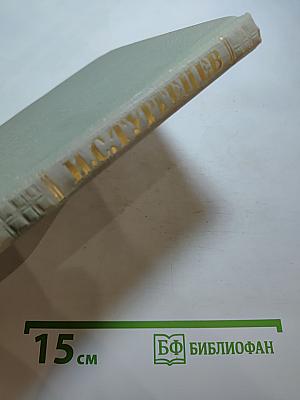 Собрание сочинений. Том 7: Повести и рассказы 1862-1870