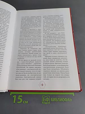 Александр Степанович Попов. Блистательный электротехник России