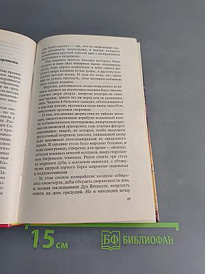 Тайна Владигора