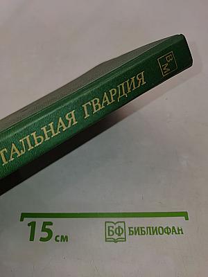 Стальная гвардия