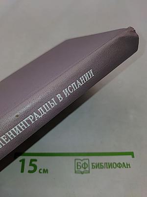 Ленинградцы в Испании