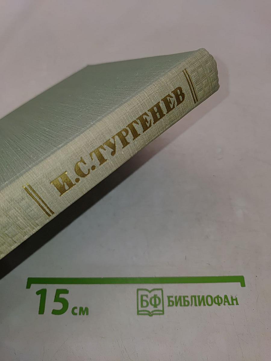 Собрание сочинений. Том десятый. Стихотворения в прозе. Литературные и житейские воспоминания. Избранные статьи и речи