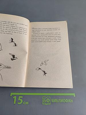Чайка по имени Джонатан Ливингстон