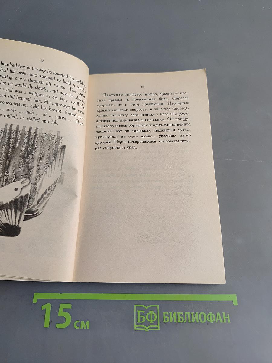 Чайка по имени Джонатан Ливингстон