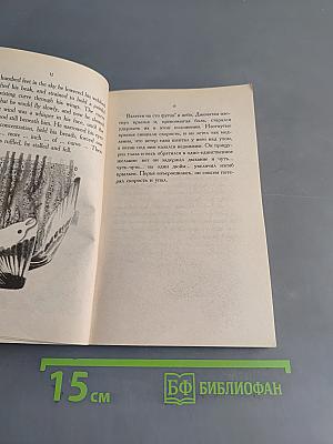 Чайка по имени Джонатан Ливингстон