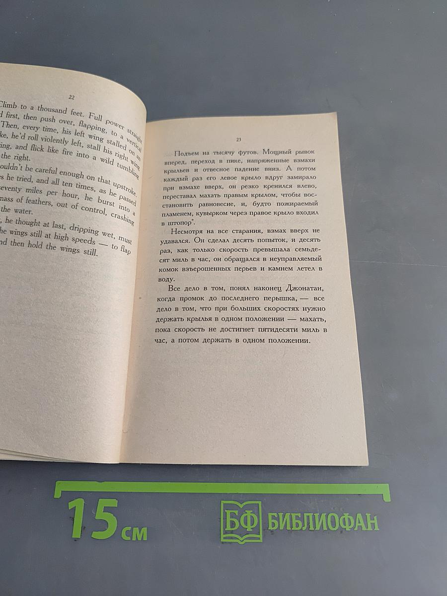 Чайка по имени Джонатан Ливингстон