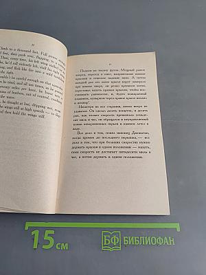 Чайка по имени Джонатан Ливингстон