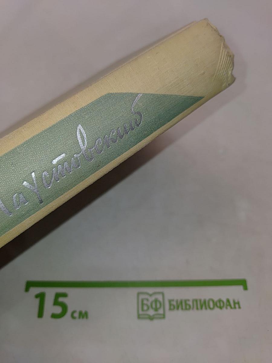 Собрание сочинений. Том первый. Романы и повести