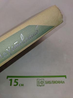 Собрание сочинений. Том первый. Романы и повести