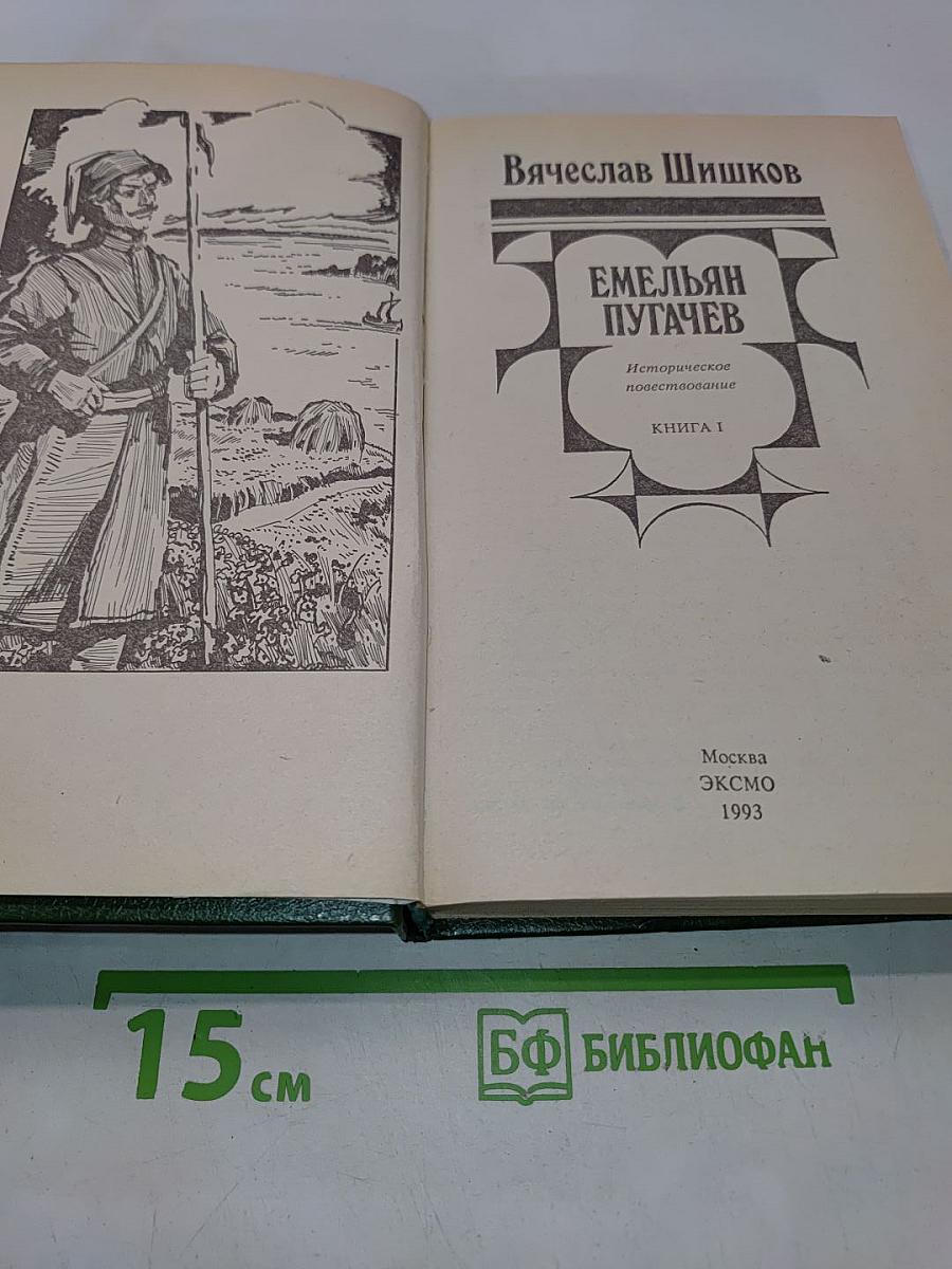 Емельян Пугачёв. Историческое повествование. Книга 1