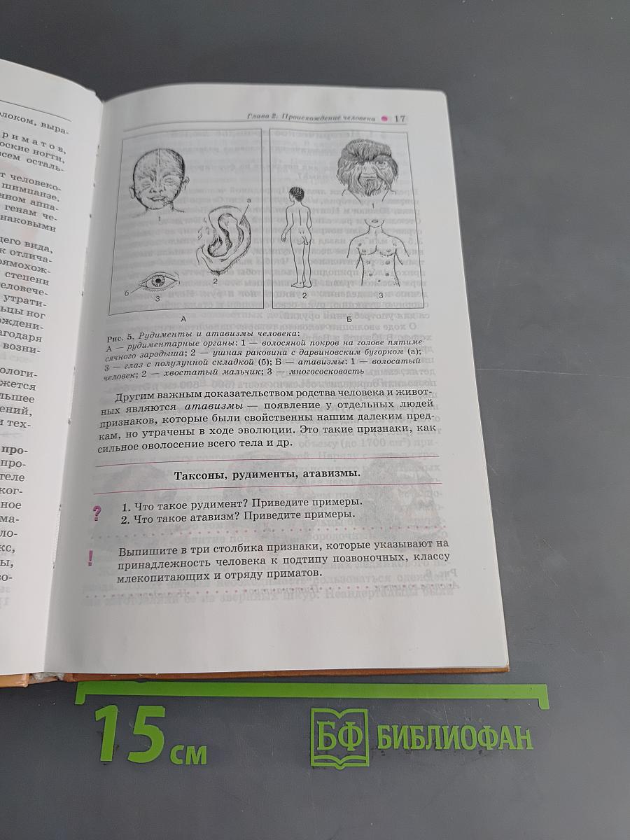 Биология. Человек. 8 класс