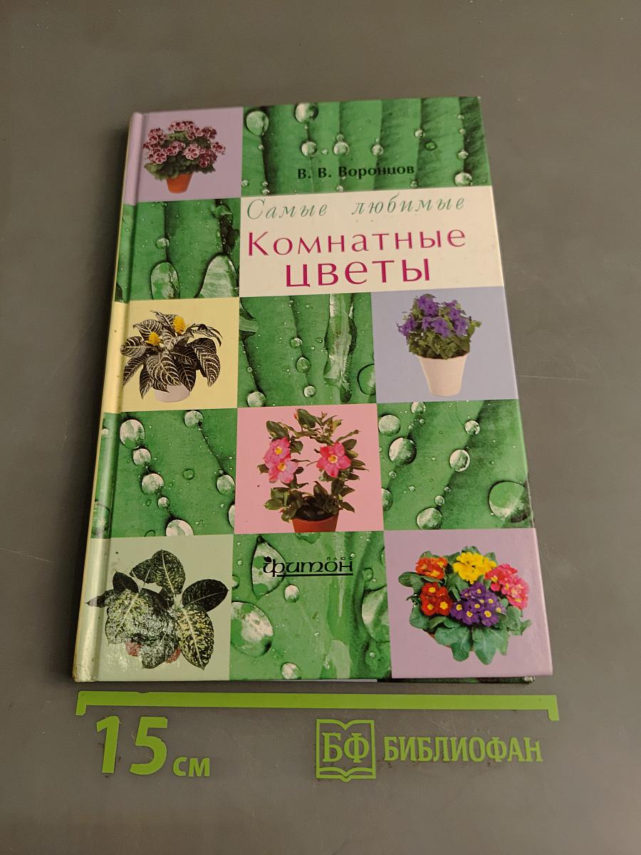 Самые любимые комнатные цветы