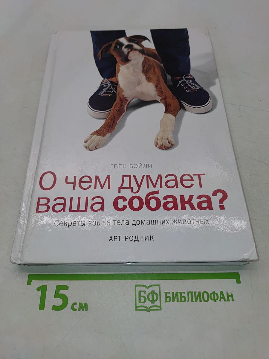 О чем думает ваша собака?