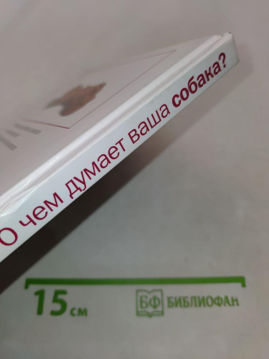 О чем думает ваша собака?