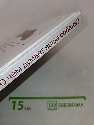 О чем думает ваша собака?