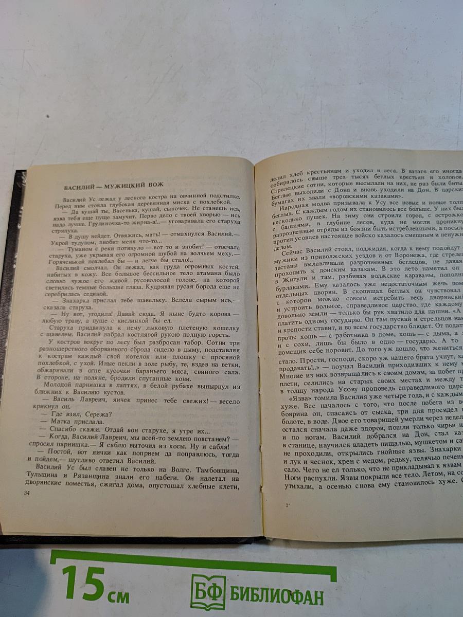 Степан Разин. Книга вторая