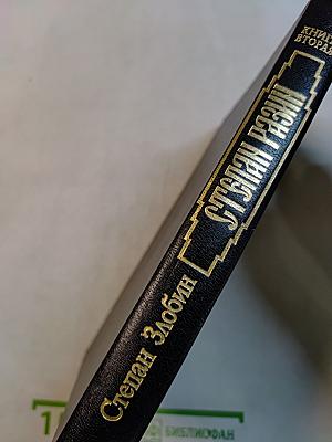 Степан Разин. Книга вторая