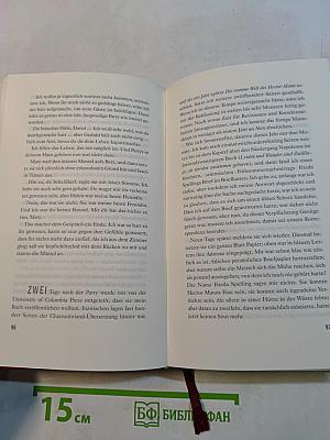 Das Buch der Illusionen