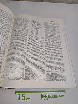 Большая Советская Энциклопедия. Том 22. Ремень - Сафи