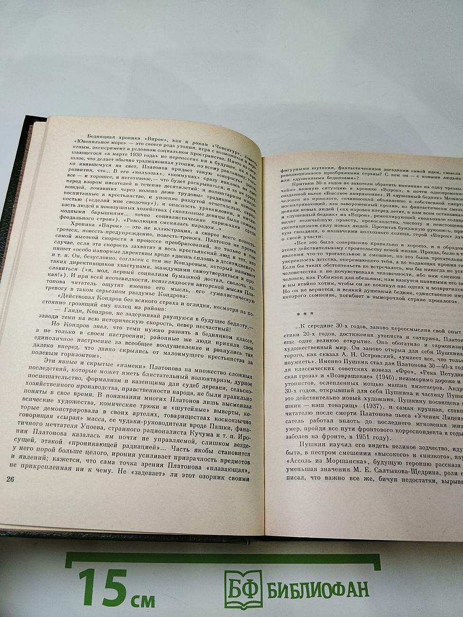 Государственный житель: Проза. Ранние сочинения. Письма