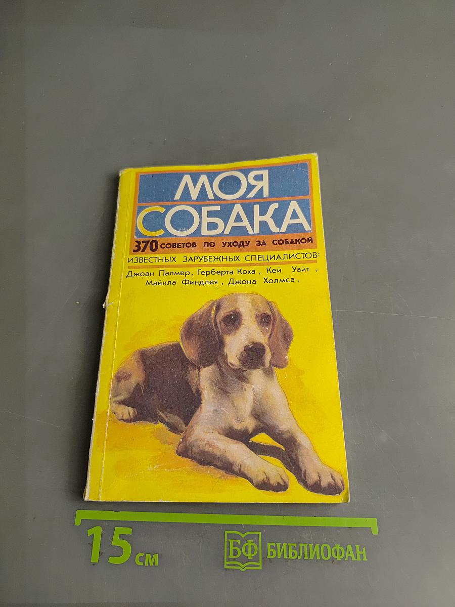 Моя собака
