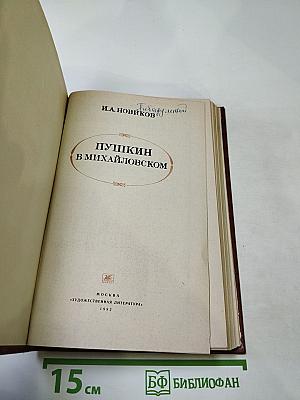 Пушкин в Михайловском