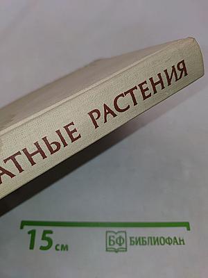 Комнатные растения
