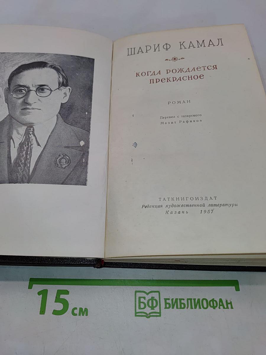 Когда рождается прекрасное
