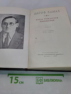 Когда рождается прекрасное