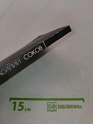 Василий Соков