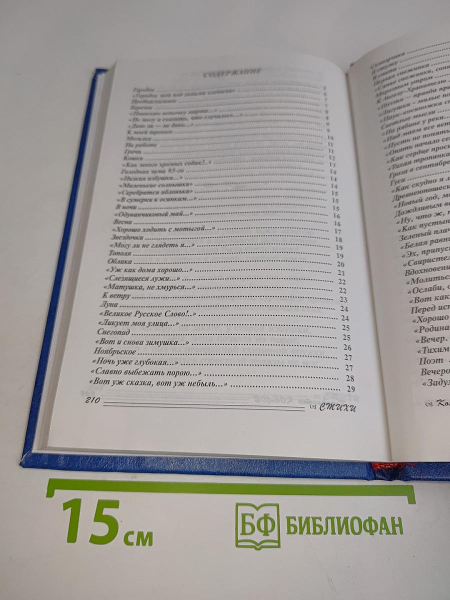Как дороги эти мгновения! Стихотворения