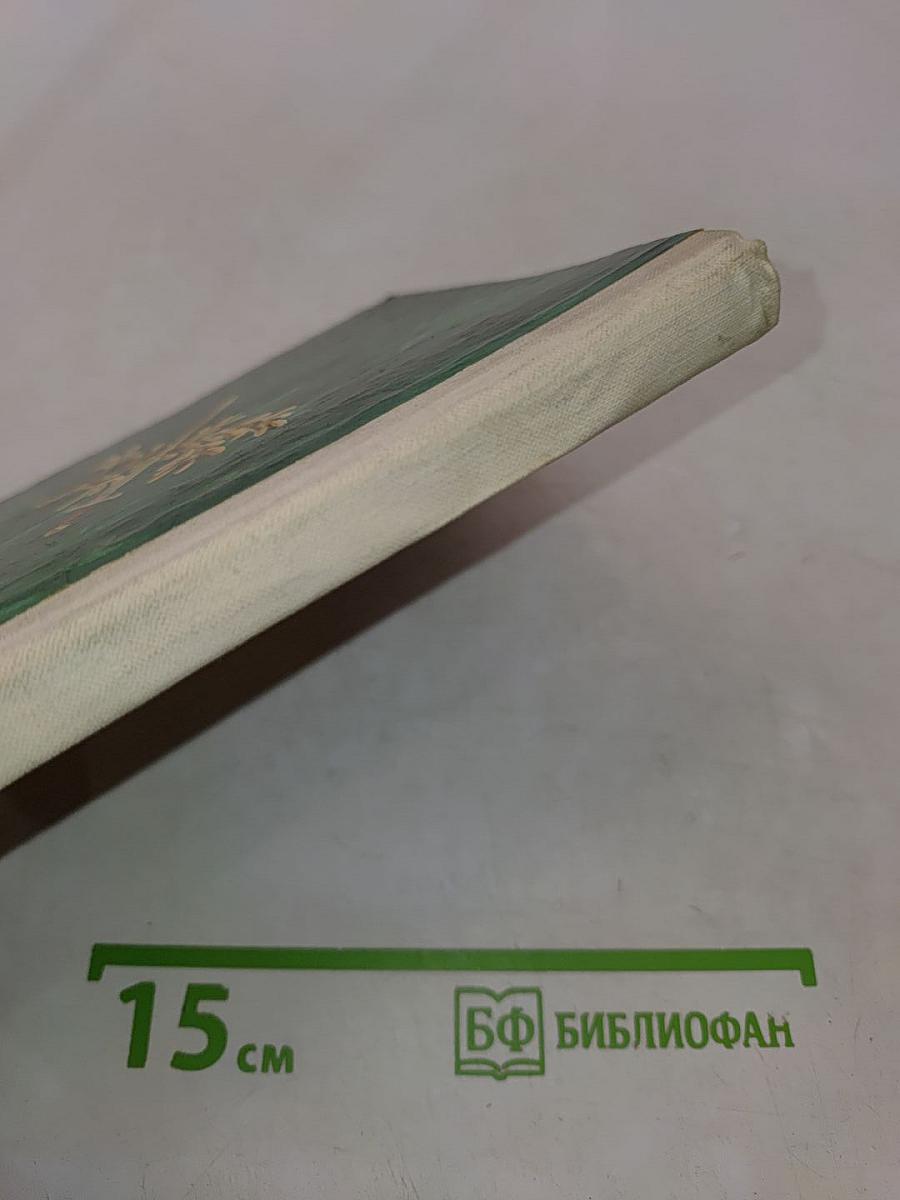 Полтава