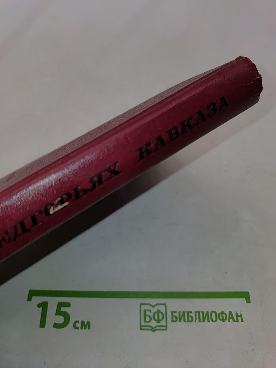 В предгорьях Кавказа